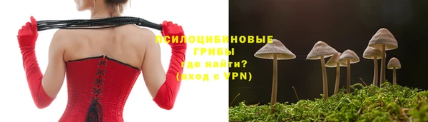 мяу мяу мука Нефтегорск