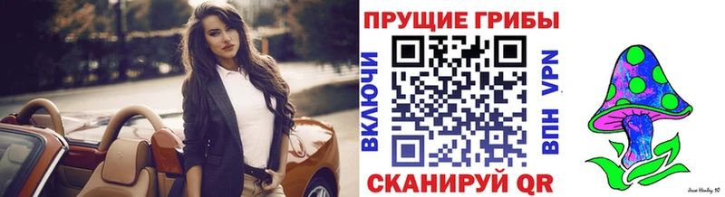 где можно купить   Уфа  Псилоцибиновые грибы Psilocybe 
